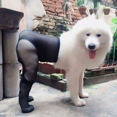 jk