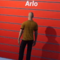 Arlo der Wandglotzer