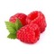 Raspberry Frost