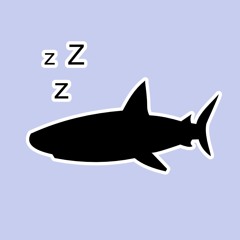 sleepy shark