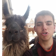 max rozier
