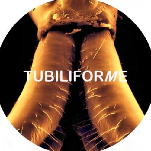 Tubiliforme