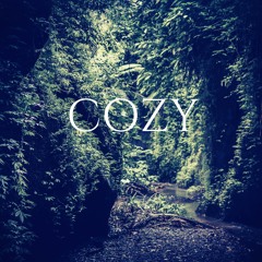 Cozy Beatz