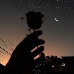 Ngô Trần Duy Hải