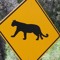 Highway Cougar