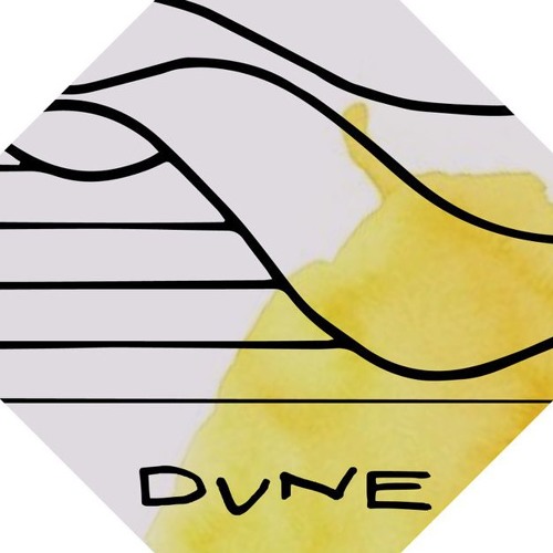 DUNE Festival’s avatar