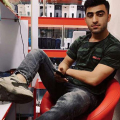 Alireza Amiri