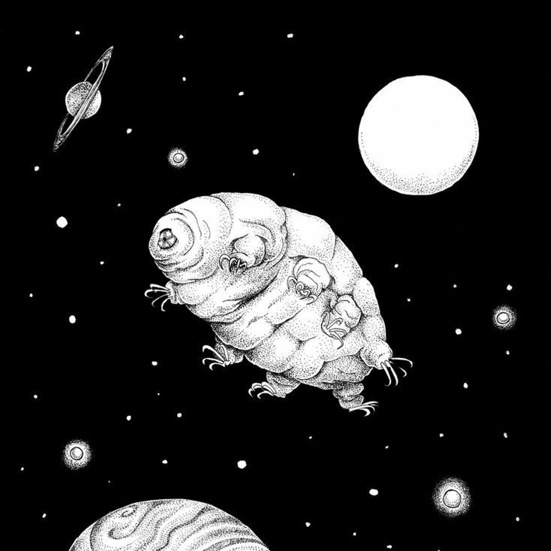 Tardigrade’s avatar