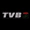 TVB Records