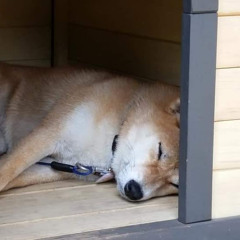 なぁ眠い