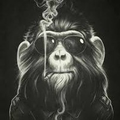 Stalone $®