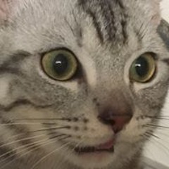 劉永裕
