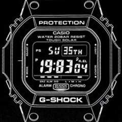 Pro IZ II