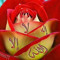 eayd abo malk