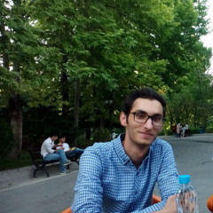 رامین افهمی