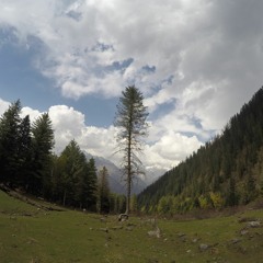 eyluluk