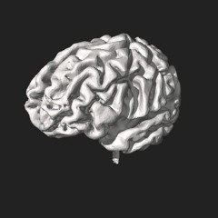 Brain T.B.G