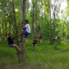 Kavaklık Şarkıları