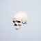 DEATHTOUGLYBOYS