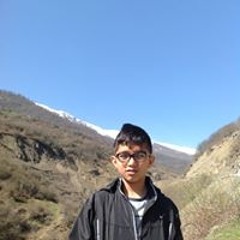 Behnood Gholampoor
