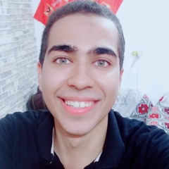 Youssef Mohamed