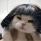 Yến Cutevcl
