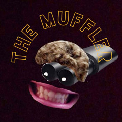 The muffler 13