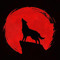 aly_Dhb