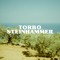 Torbo Steinhammer