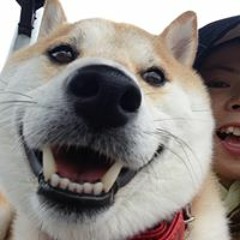 Haru Otani