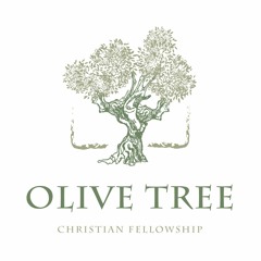 Olive Tree Christian Fellowship