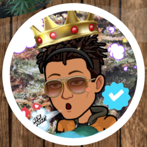 TrevorlyHills’s avatar