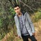 hamed