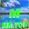 Mr. Top