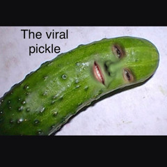 The viral pickle