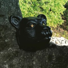 Howlin' Bear