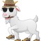 Xogoat