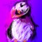 puffin