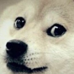 Sad Doge