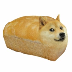 Bread_Doge9000
