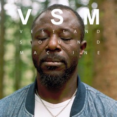 VSM