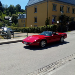 Mescht 29