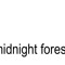 midnightforestFires