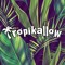 Tropikallow