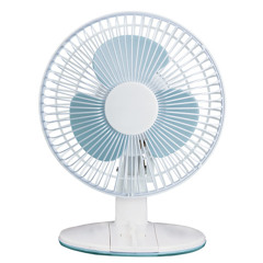 Your daily fan