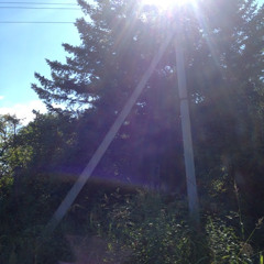 александр зайцев