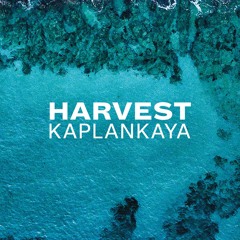 Harvest Kaplankaya