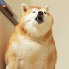 meji