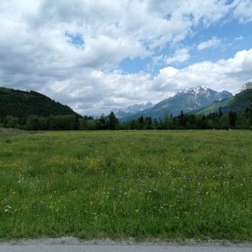ناسر ره زازی - دایه گیان