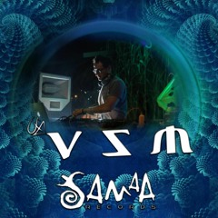 VSM